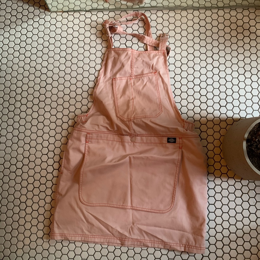 UO Dickies